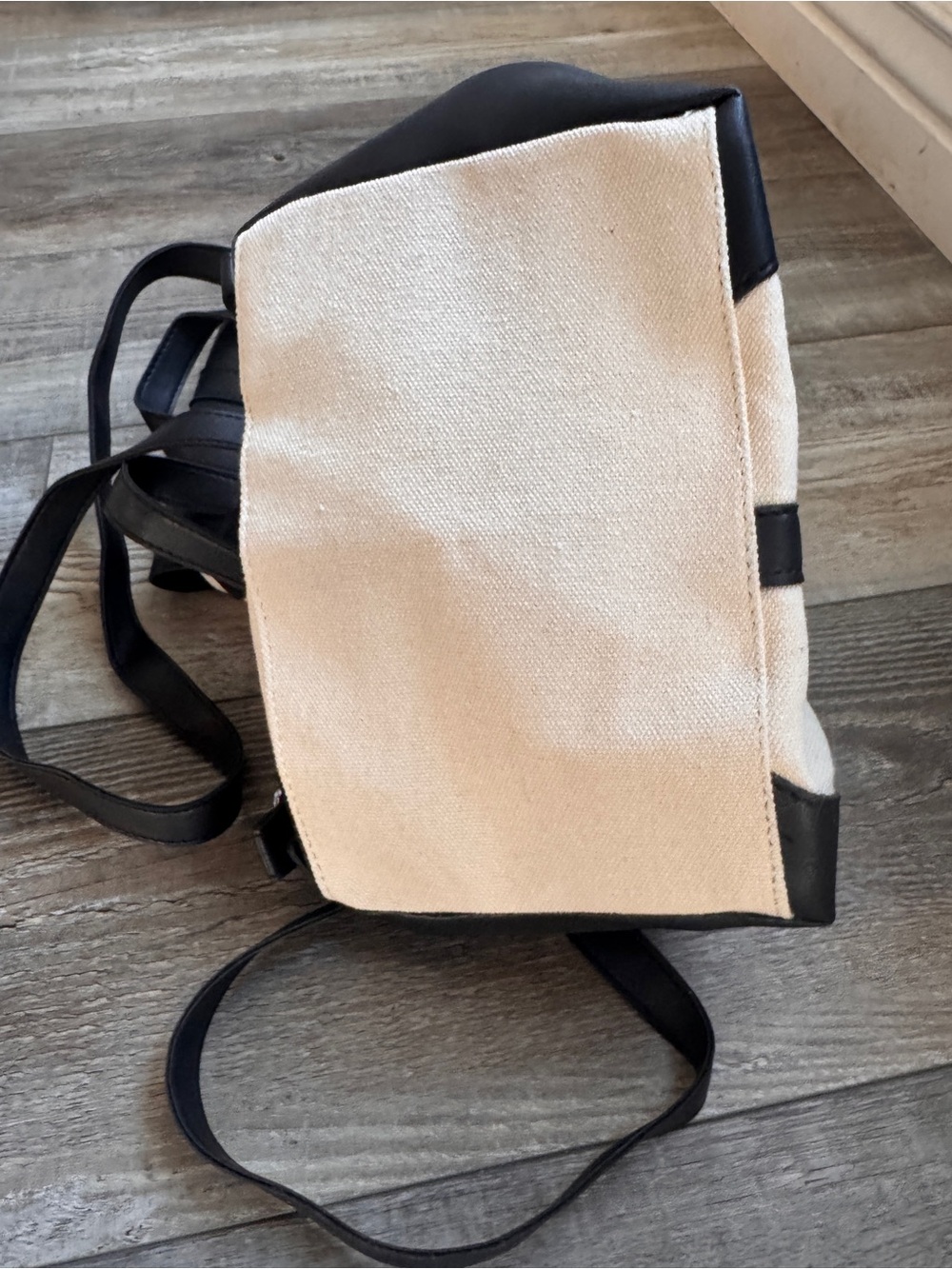 Deux Lux Black and Cream Canvas Mini Backpack - Picture 6 of 6